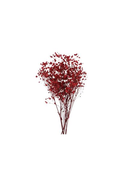 Kimyacınız Kuru Çiçek Kırmızı - Cipso, Jel Mum Aksesuarı, Epoksi Aksesuarı, Süsleme - 1