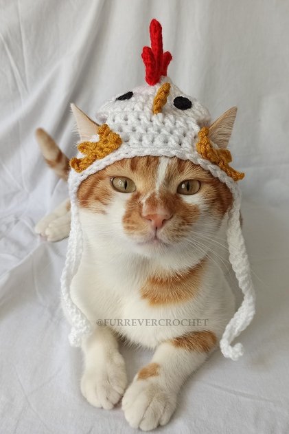 Tavuk Bere Beyaz Örgü Kedi Köpek Şapkası Evcil Hayvan Şapkası Pet Aksesuarları