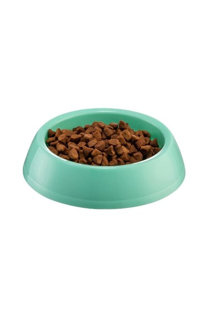 Evcil Hayvan Kedi Köpek Büyük Mama Kabı- Yeşil