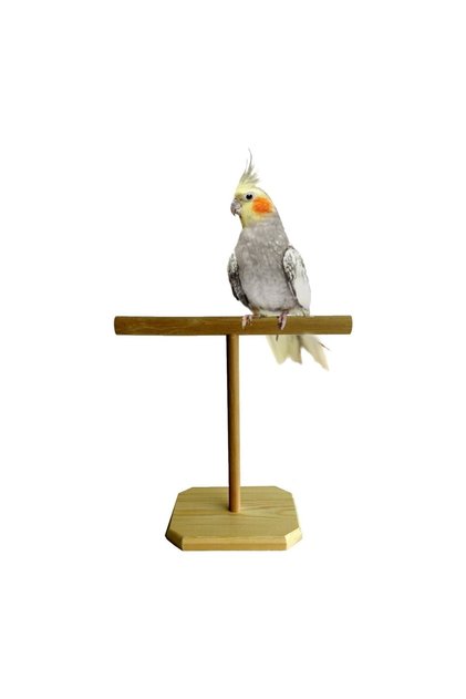 Wooden Parrot Perch T Perch Tunek-001