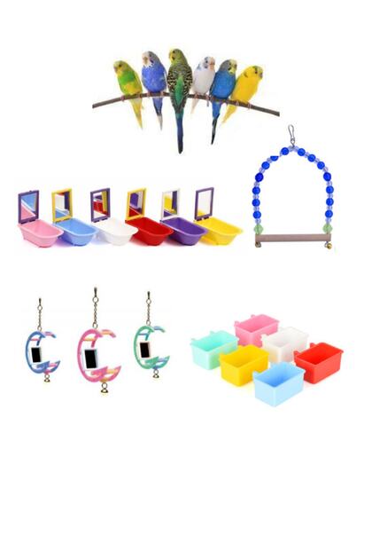 Bird Accessory Toy Set