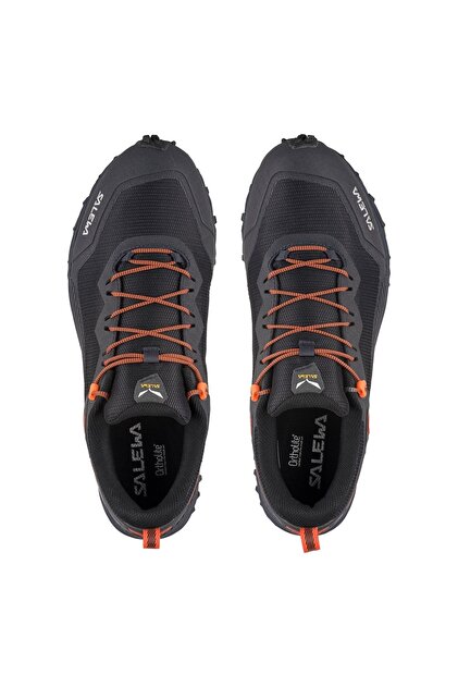 Salewa