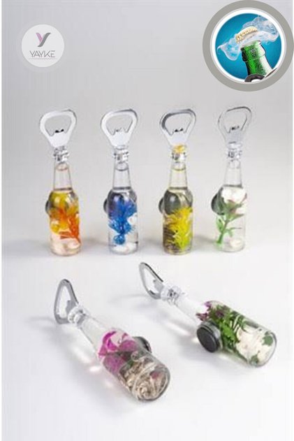 Bottle Model Water Gas Opener Magnet Bottle Opener