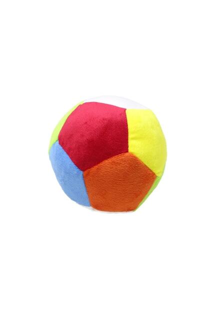 Colorful Plush Ball 20 Cm