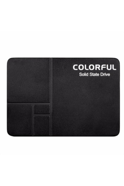 Sl500 256 Gb Ssd