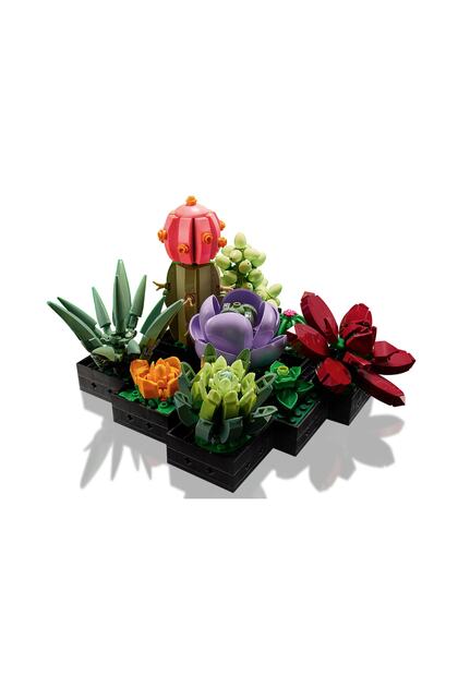 LEGO Creator Sukulentler/ Succulents 10309 - Fiyatı, Yorumları