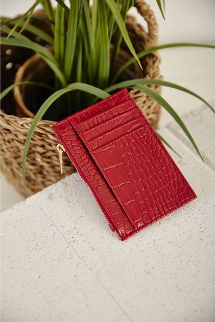 Crocodile Skin Look Zipper Detailed Card Holder Wallet