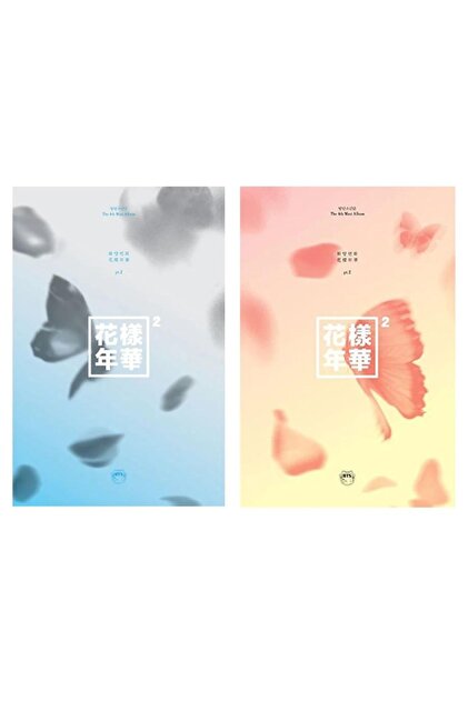 Kpop Dünyasi Bts - 1st Album Dark & Wıld - Fiyatı, Yorumları