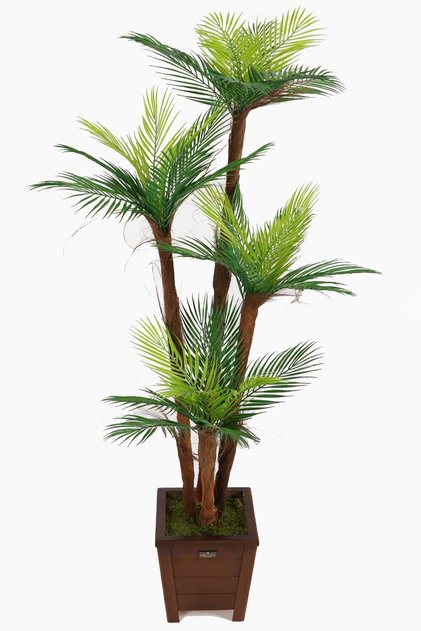 Yapay Islak Dokulu Fenix Sıkas Ağacı 4 Gövdeli 160 Cm