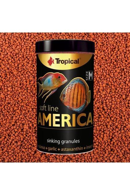 Soft Line America M 100 ml 60 gr