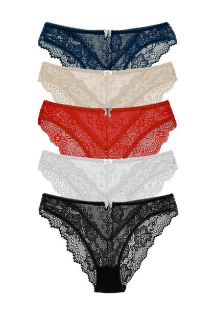 5-Piece Tulle Front Full Lace Slip Women's Panties