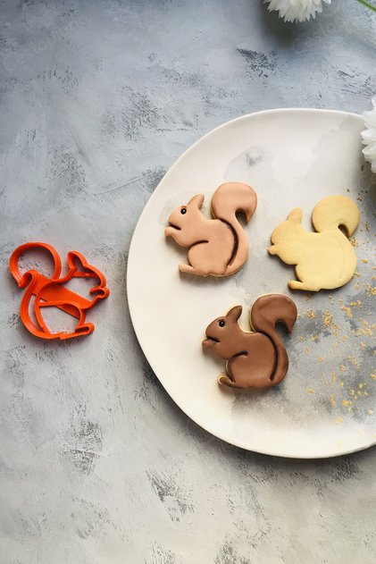 Squirrel Cookie Mold