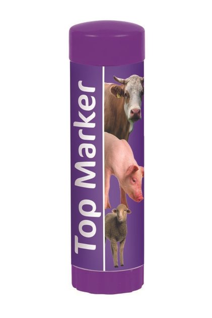 Top Marker Işaretleme Kalemi Mor
