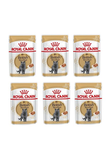 Royal Canin British Shorthair Kedi Yaş Mama 85 Gr. X 6 Adet