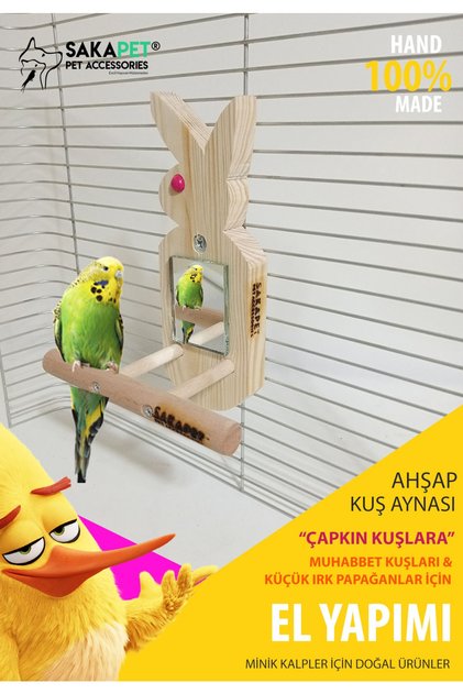 Wooden Bird Mirror Bunny