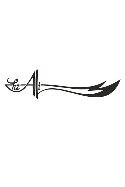 HzAli Zulfikar Auto Sticker 30cm Transdecent Carriage Sticker Black