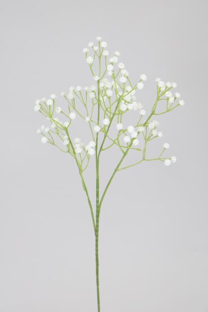 Yapay Uzun Cipso Dalı 60 Cm Beyaz