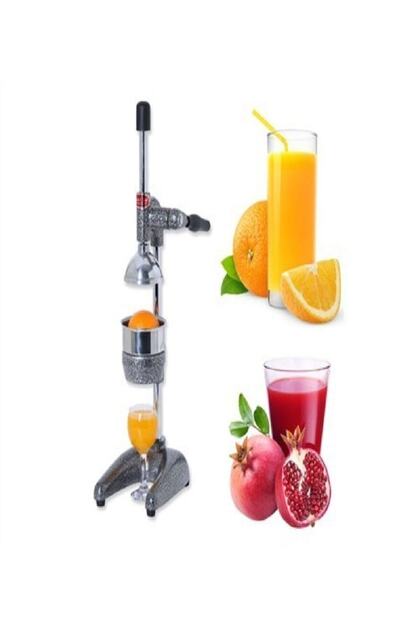 0101 Home Type Fruit Juicer