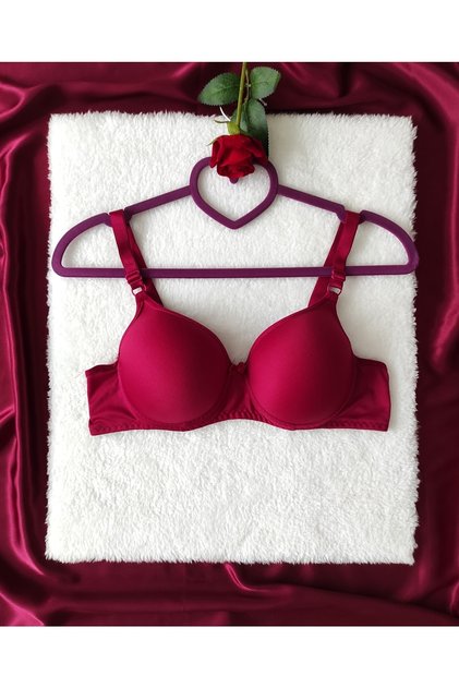 Women's Micro Fabric Padded Underwire Daily Bra