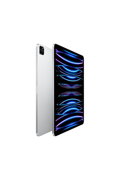 Apple iPad Pro 512 GB 12.9