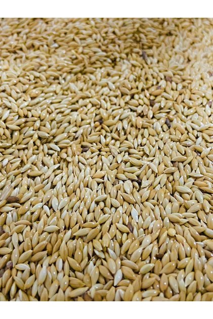 Kanarya Yemi (aspur) 1 Kg
