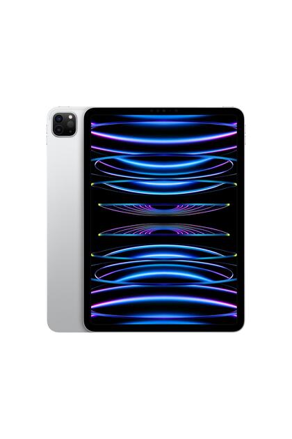 Apple iPad Pro 4. Nesil 1 TB 11