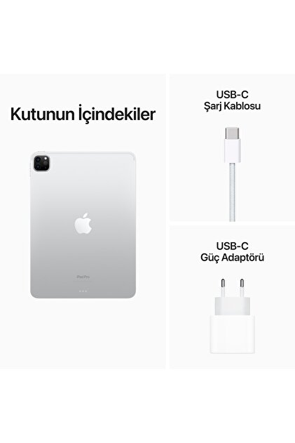 Apple iPad Pro 4. Nesil 1 TB 11