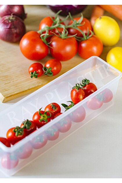 ray plastik Dar Uzun Saklama Kabı Toz Pembe Kapak - Fiyatı, Yorumları