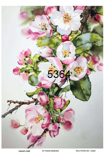 Pirinç Dekopaj Kağıdı La-5364