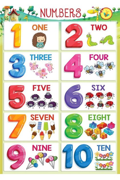 English Numbers Board For Schools (25x35 Cm)