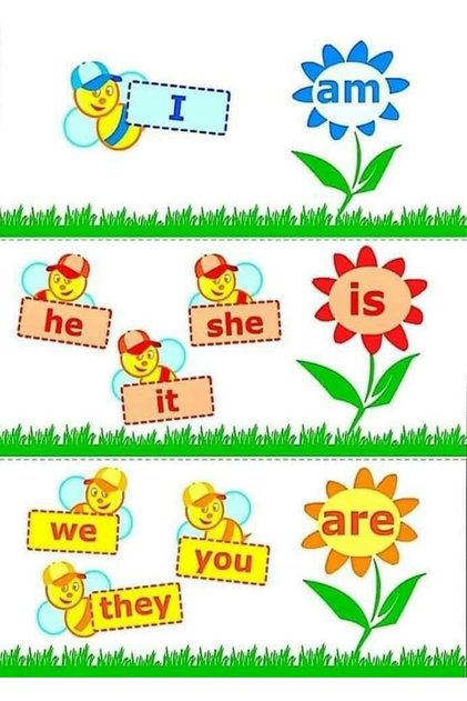 English Basic Information Board for Schools (25x35 Cm)