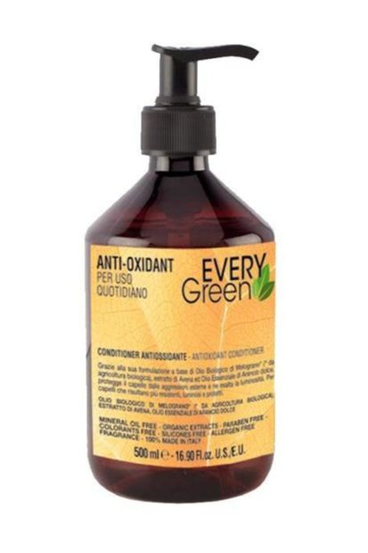 EveryGreen Antioksidan Saç Kremi - Tüm Saçlar 500 Ml - 1
