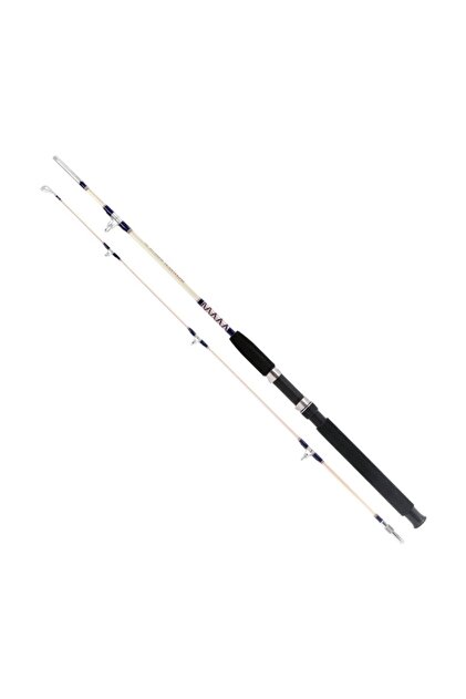 Remixon Hurricane 180Cm 20-40Lbs 2P Tekne Kamışı - Fiyatı, Yorumları