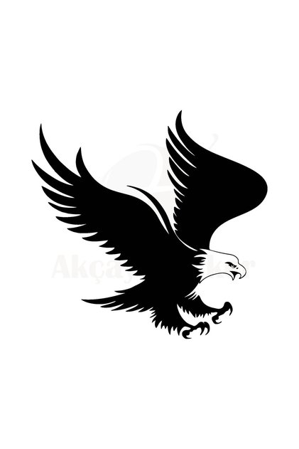 15cm X 15cm Eagle Sticker Eagle Auto Sticker Car Sticker Rigging Sticker Sticker Black