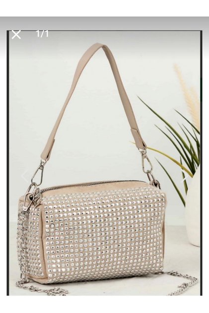 Evening Bag