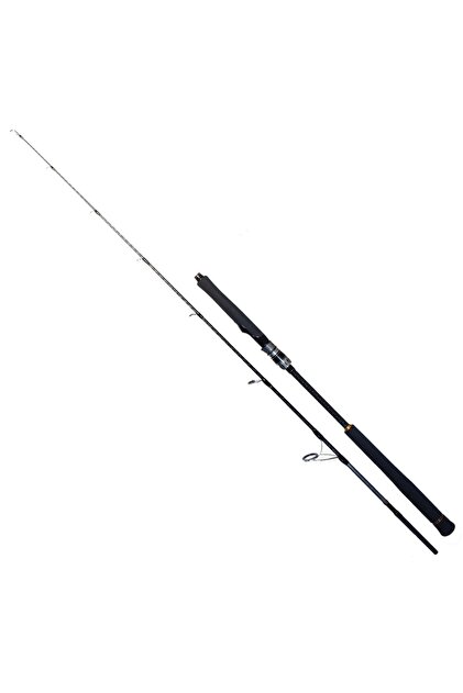Ryuji Seawolf 1.83m 200-400gr 2P (Baitcast) Tetiksiz Jig Olta