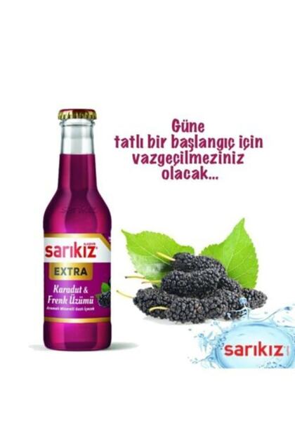 Maden Suyu Karadut Ve Frenk Üzümlü 200ml (6lı)