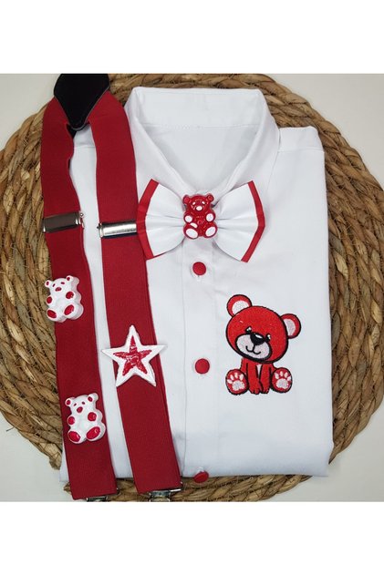 Special Dress for Teddy Bear Concept