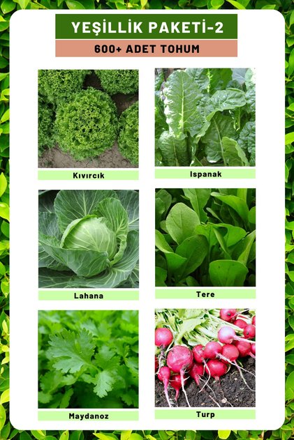Yeşillik Paketi-2 Kıvırcık, Ispanak, Lahana, Tere, Maydanoz, Turp, Tohum Seti 600+ Adet Tohum