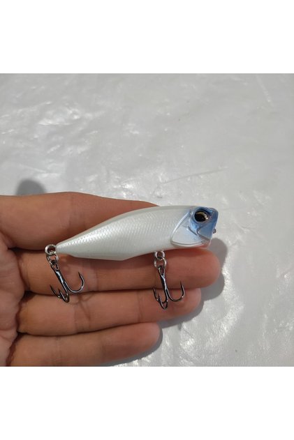 Popper, Maket Balık, Su Üstü Maket Balık, Levrek, Turna, Lüfer Vs. Avcı Balılklar Için Popper..