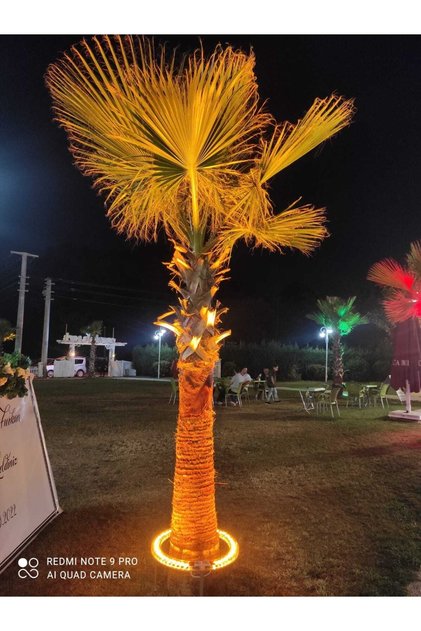 Palmiye Ağaç Aydınlatma Işık Boyama Led 50 Cm