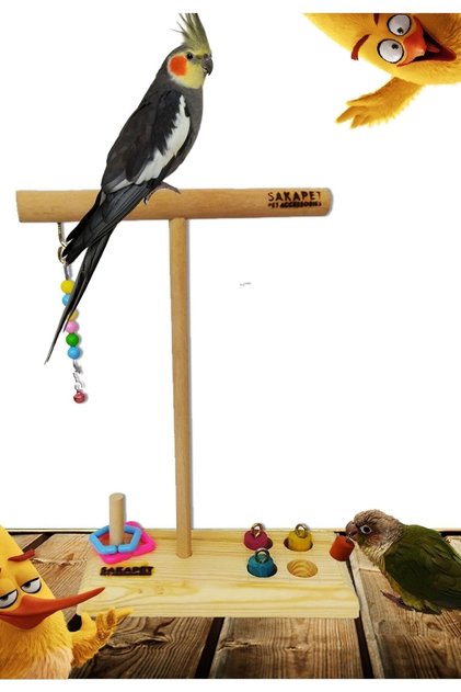 Wooden Parrot Perch t Perch with Extra Double Intelligence Games