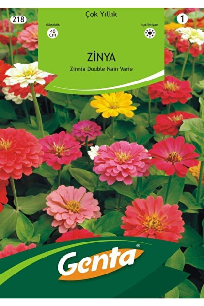 Genta Kirli Hanım Çiçeği Tohumu - Fiyatı, Yorumları