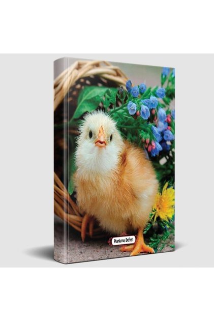 Chick - Planning Notebook