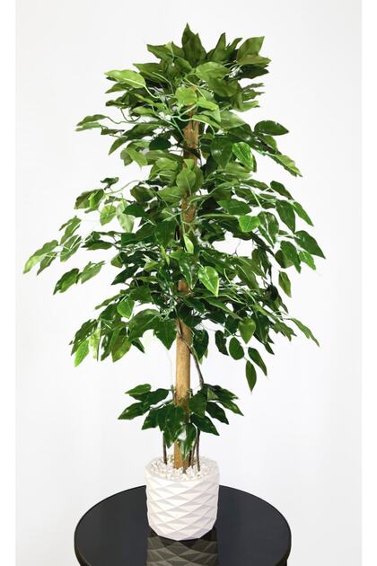 Yapay Benjamin Ağacı 110cm Sarmaşık Detaylı