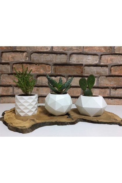 3'lü Beyaz Renk Beton Sukulent Ve Kaktüs Saksı Seti
