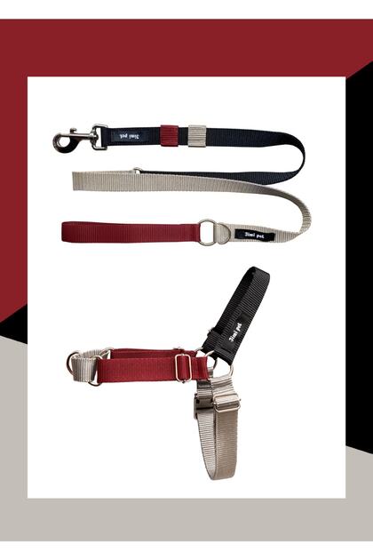 Drago Easy Walk Anti-Pull Leash Set
