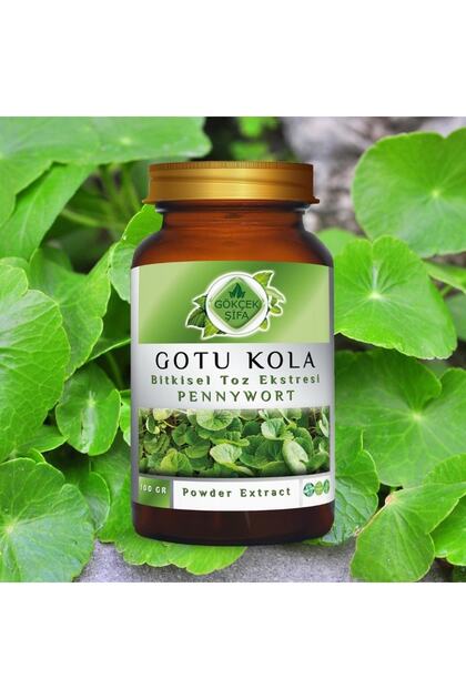 Gotu Kola (CENTELLA ASİÁTİCA) Toz Ekstresi 100 Gr. Cam Kavanoz