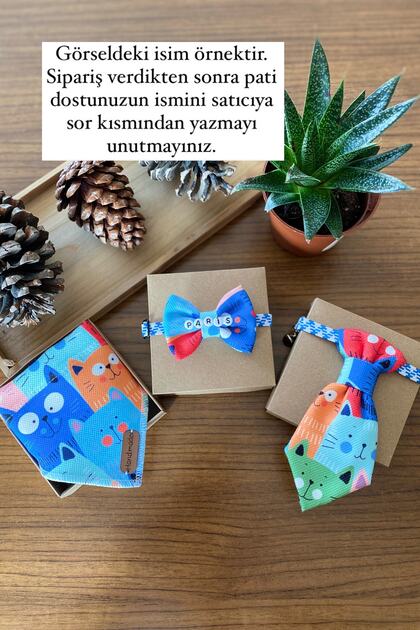 Kedi Desenli Set