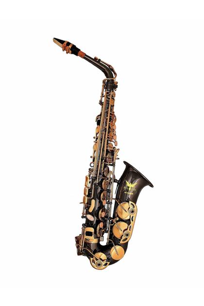 BLACK RAVEN Alto Saksafon Black Br-as200bk - Fiyatı, Yorumları